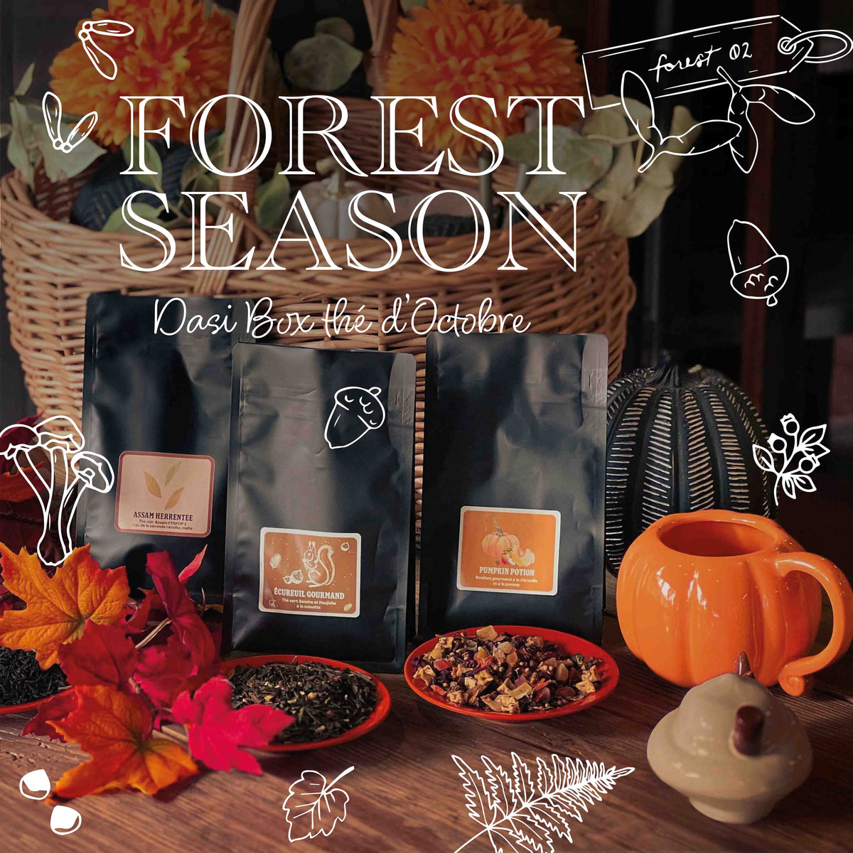 Forest Season - Dasi Box Thé du mois