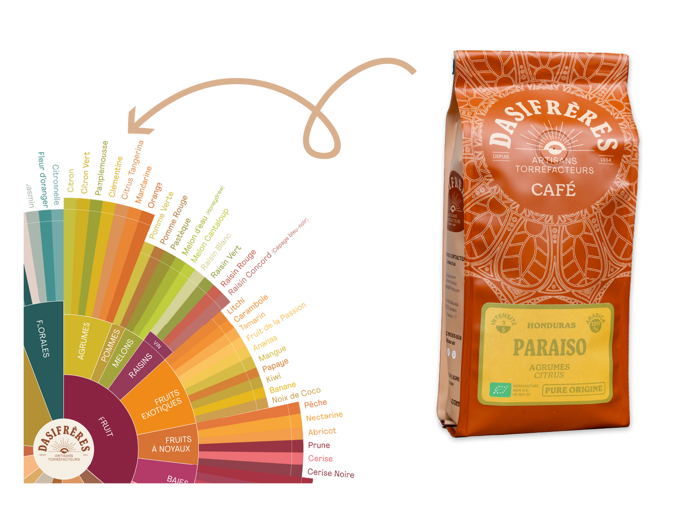 Café Paraíso Dasifrères et roue des saveurs