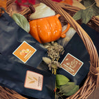Forest Season - Dasi Box Thé du mois