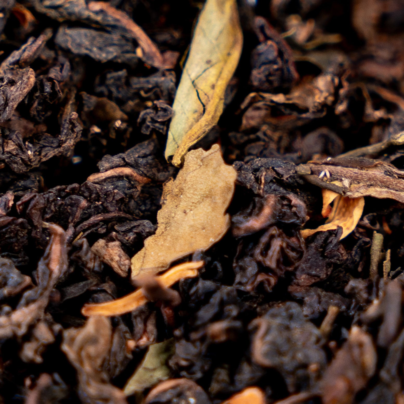 Soleil Blanc