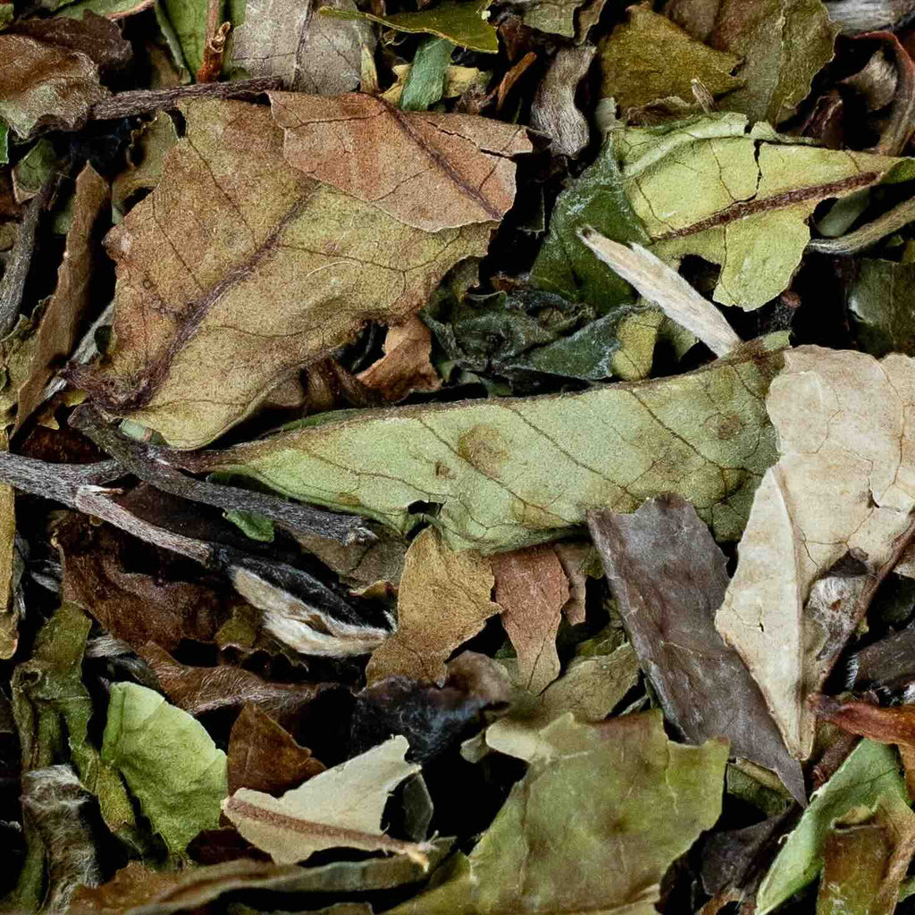 Pai Mu Tan BIO Thé blanc Chine doux et onctueux vrac