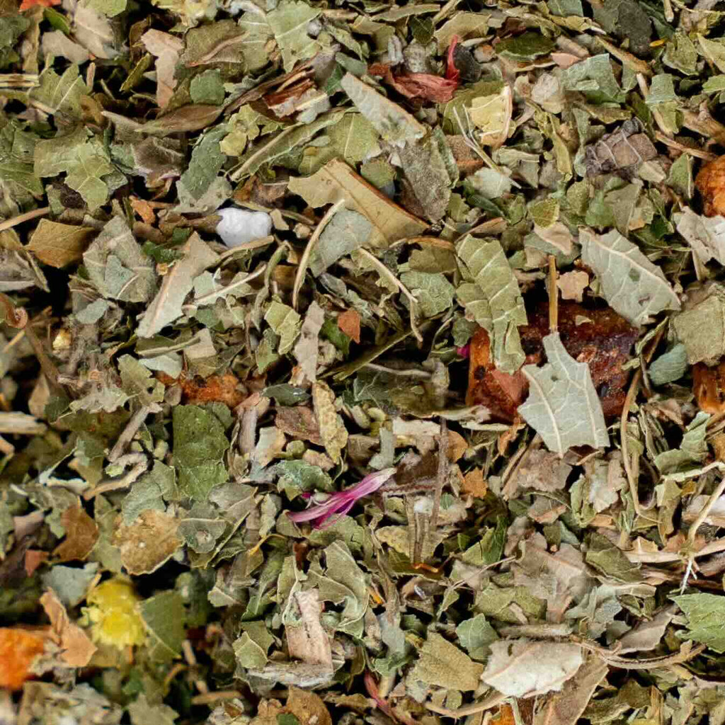 Fleur de Manuka Tisane de plantes aux notes dorées de miel et de sauge vrac