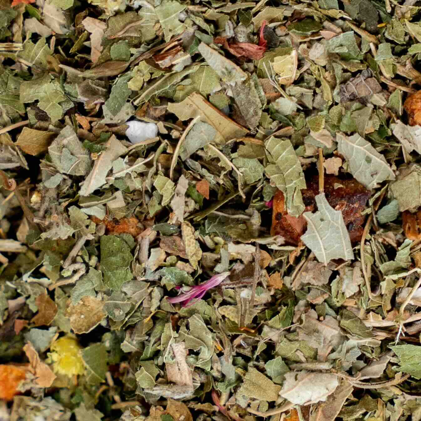 Fleur de Manuka Tisane de plantes aux notes dorées de miel et de sauge vrac
