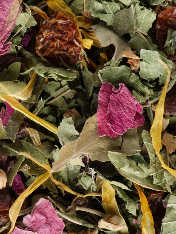 Tisane Nuit à Versailles – Kiwi & Fleur d’Oranger