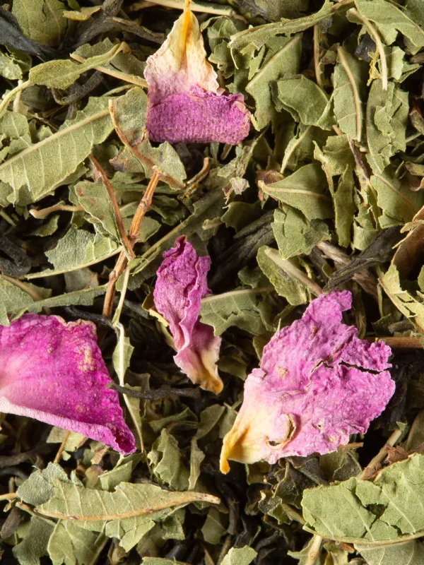 Pêche Verveine – Frais & Végétal